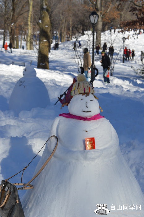 DSC_0284.jpg