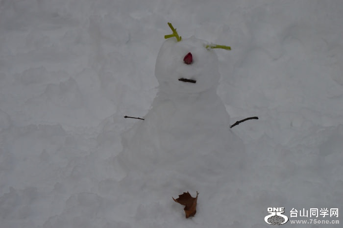 DSC_0489.jpg