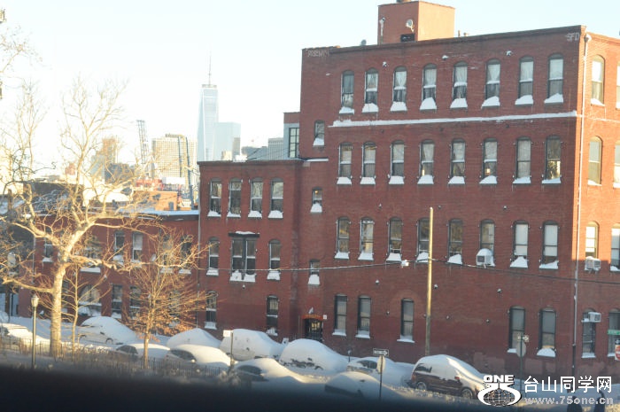 DSC_0207.jpg