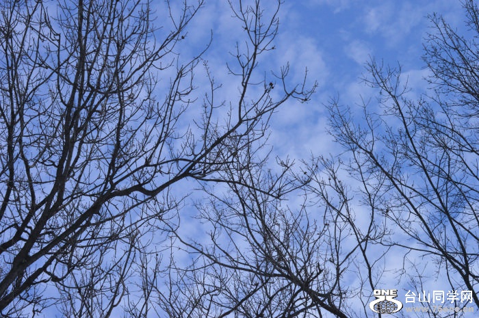 DSC_0416.jpg