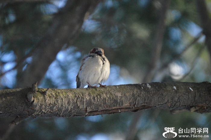 DSC_0391.jpg