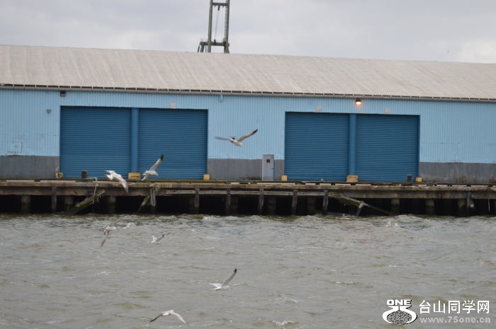 DSC_0852.jpg