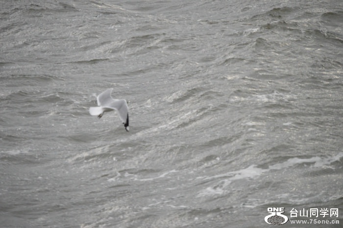 DSC_0938.jpg