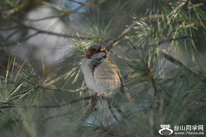 DSC_0384.jpg