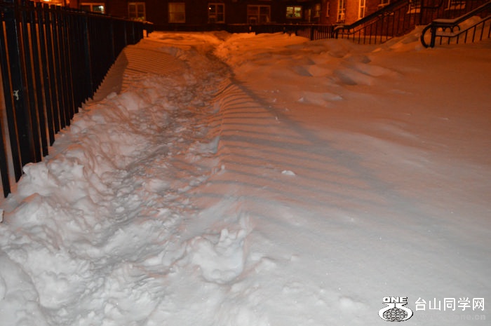 DSC_0197.jpg