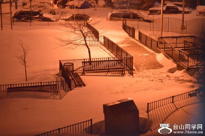 DSC_0161.jpg