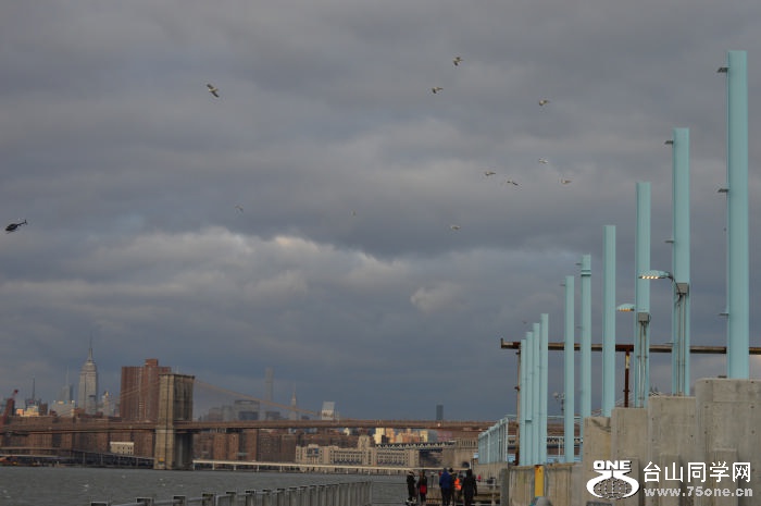 DSC_0986.jpg