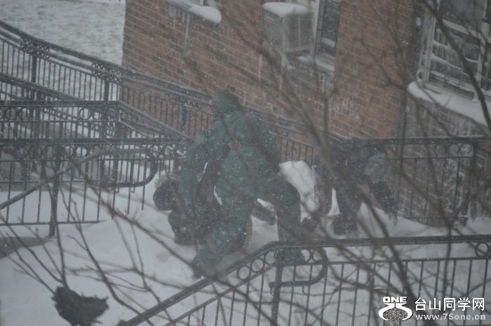 DSC_0052.jpg