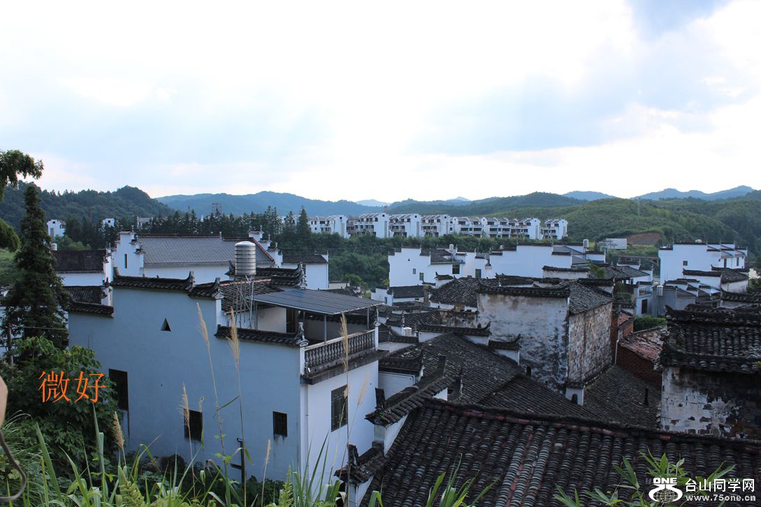 IMG_7241_副本.jpg