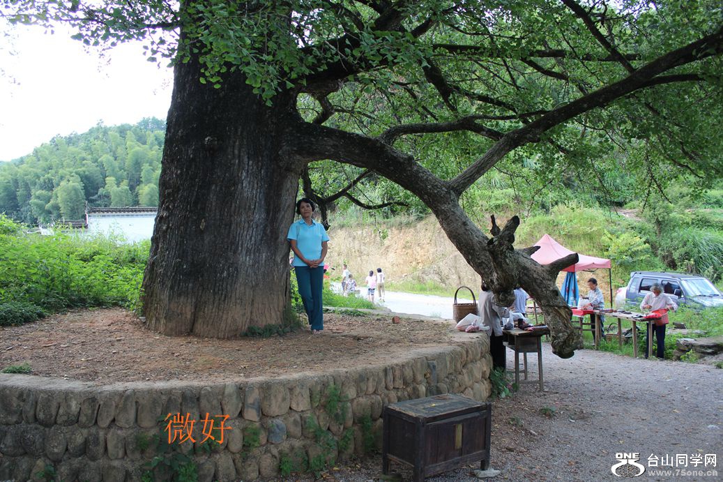 IMG_7231_副本.jpg