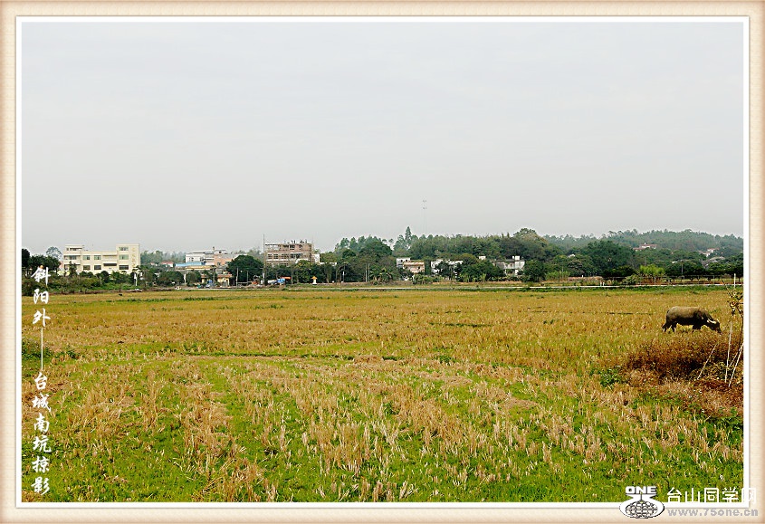 DPP_201.1.1-0355_.jpg