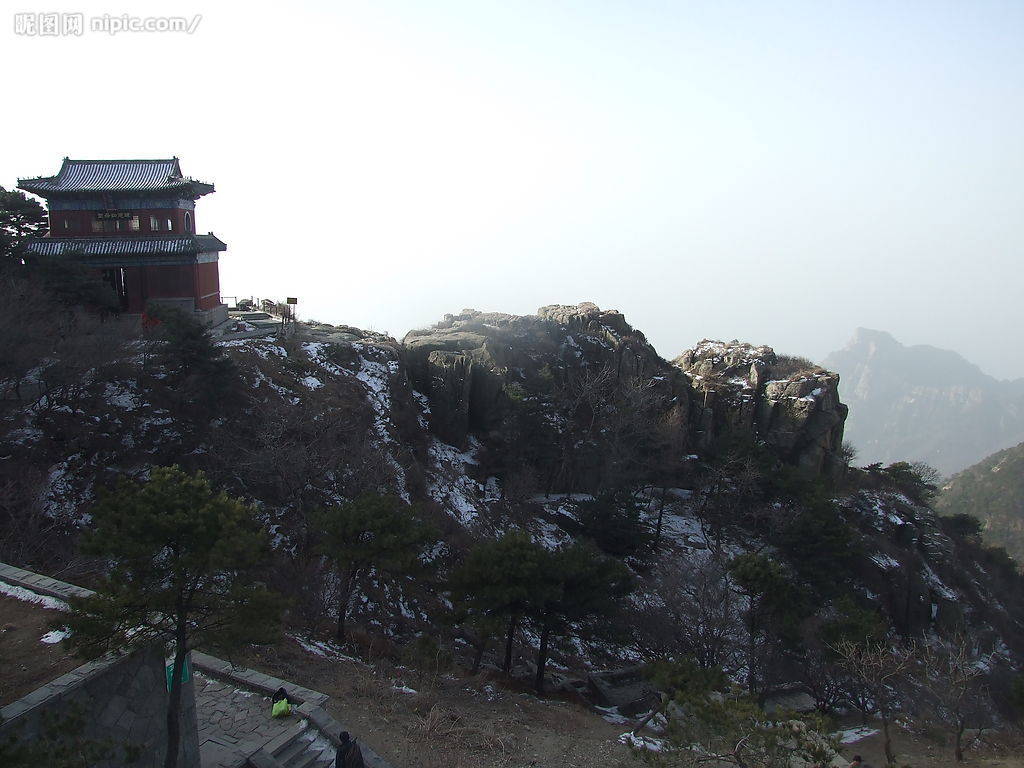 2329524_204919096_2[1].jpg