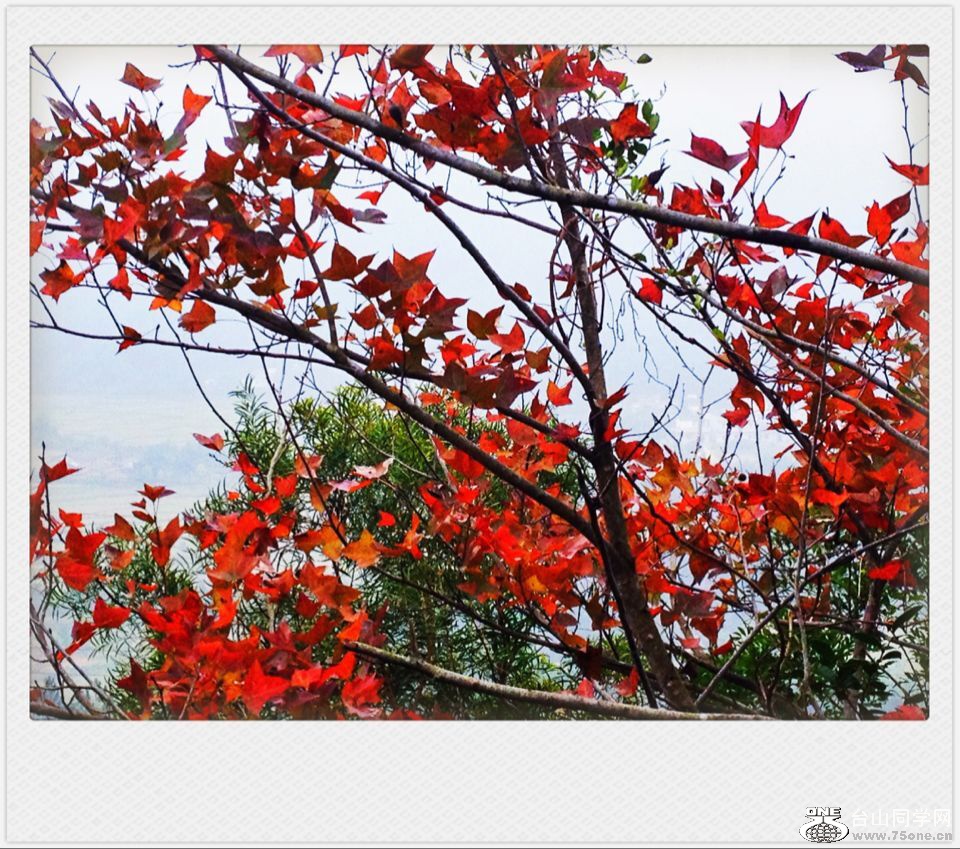 QQͼƬ20160106130654.jpg