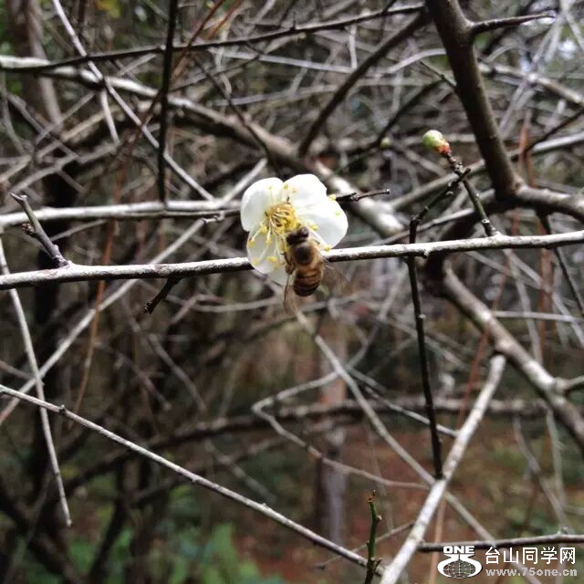 QQͼƬ20160106131002.jpg