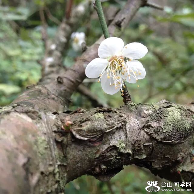 QQͼƬ20160106130954.jpg