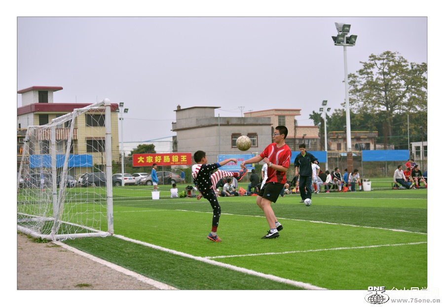 AAA_3811.jpg