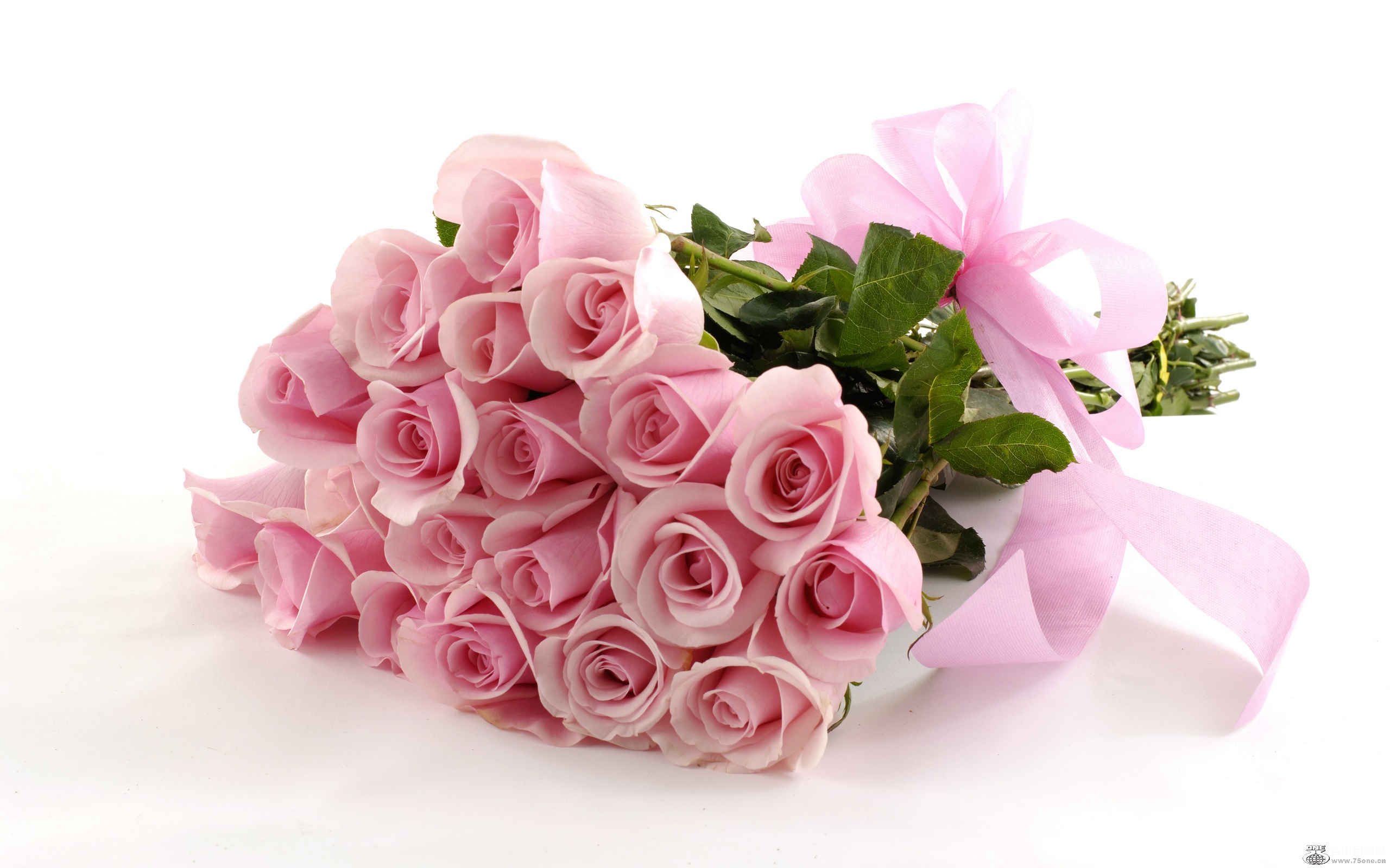 Bunch-pink-Roses.jpg