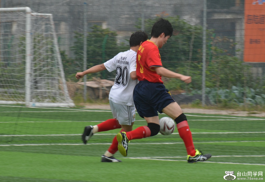 DSC_5206.jpg