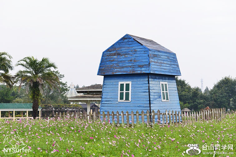 DSC_91491.jpg