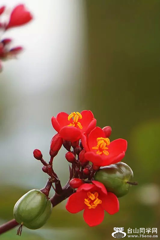 psb (14).jpg