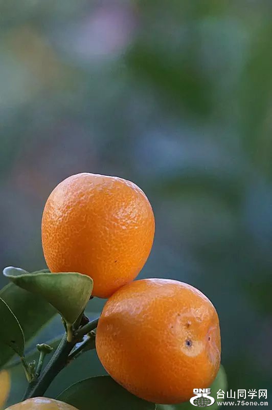 psb (10).jpg