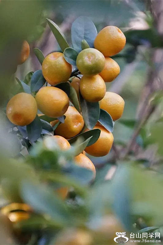 psb (2).jpg