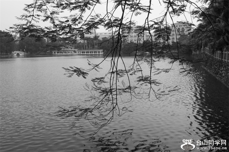 82_38009_2963385f97a5ad2.jpg