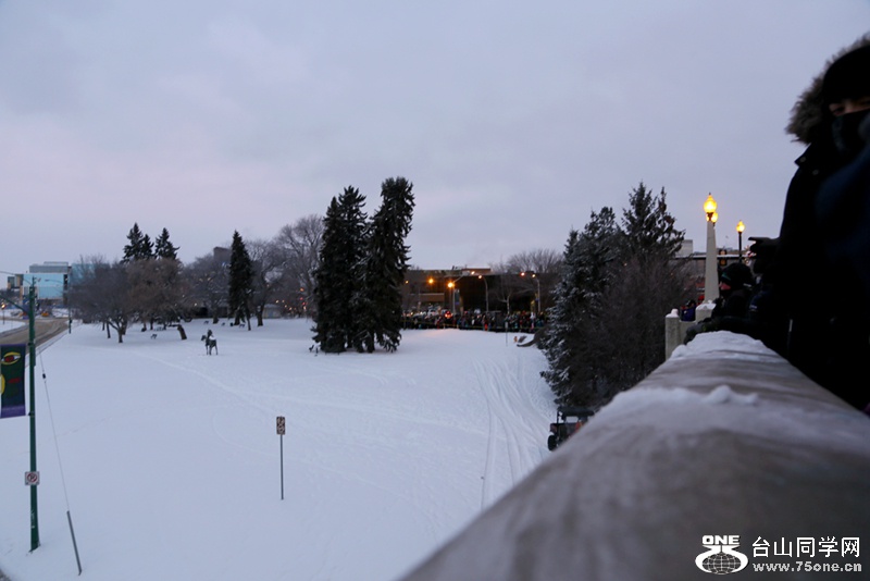 IMG_5258.JPG