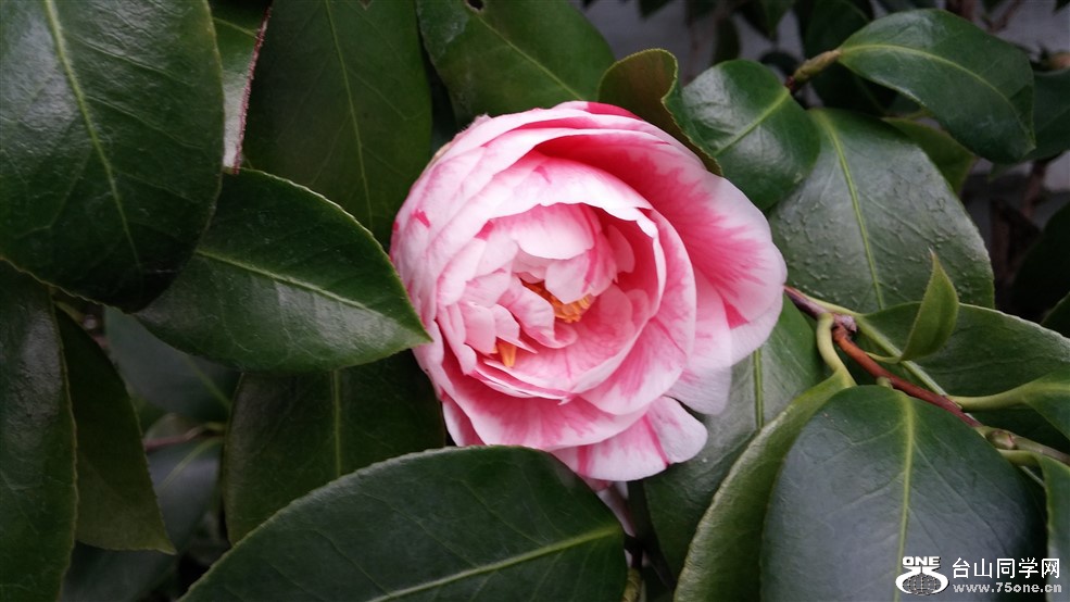 20160130_154038.jpg