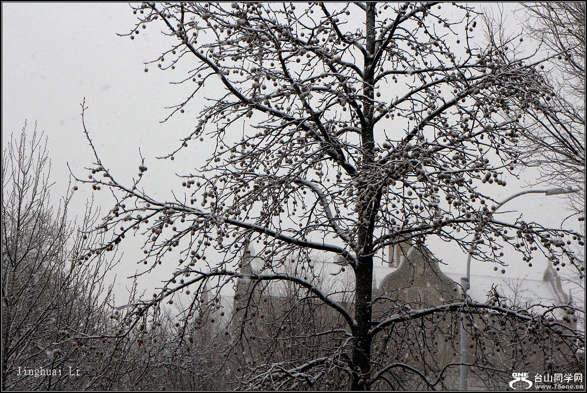 IMG_7980.jpg