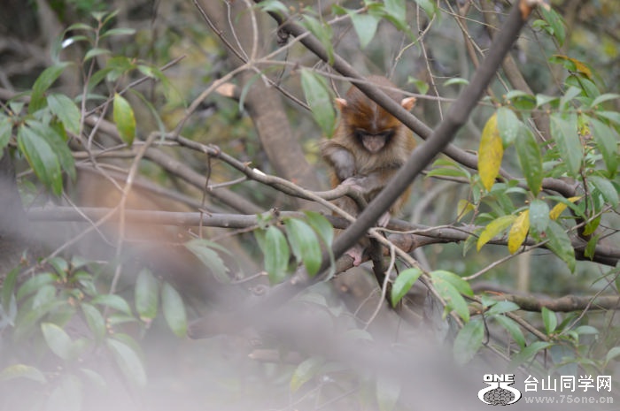 DSC_0474.jpg