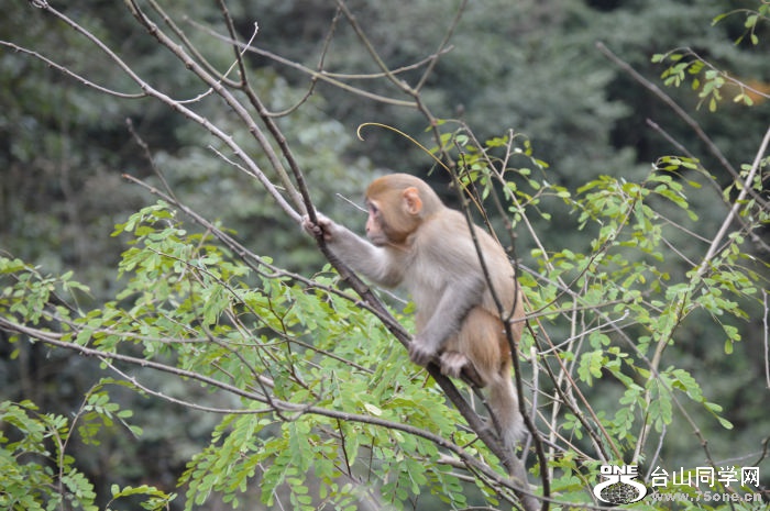 DSC_0476.jpg