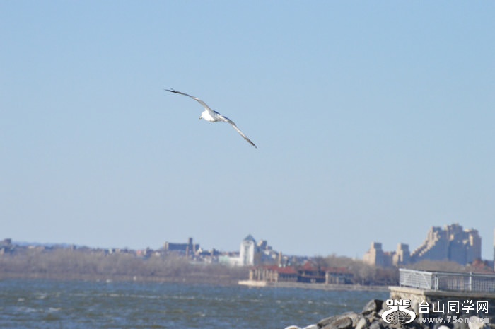DSC_0788.jpg
