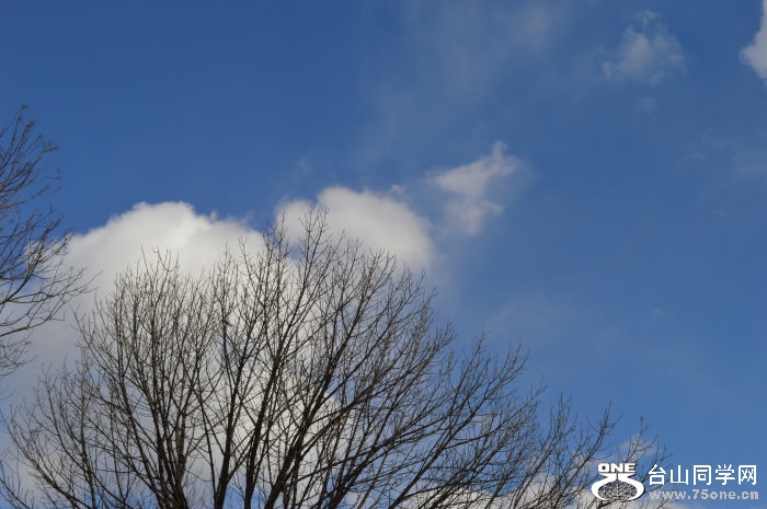 DSC_0755.jpg