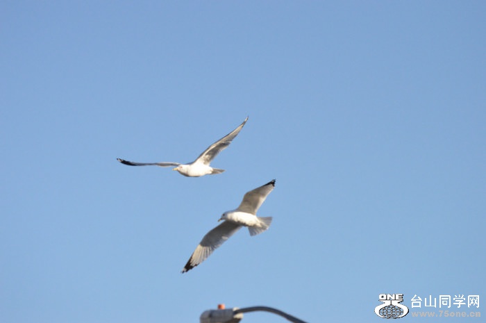 DSC_0812.jpg