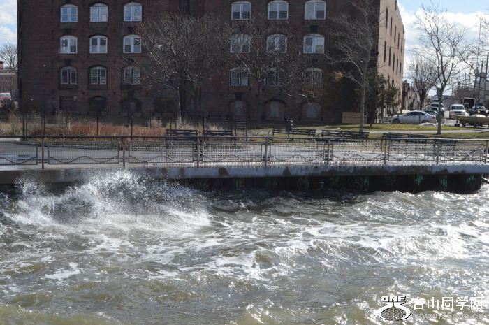 DSC_0739.jpg