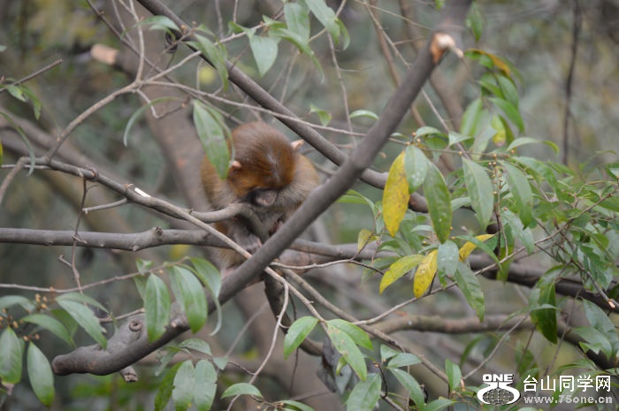 DSC_0472.jpg