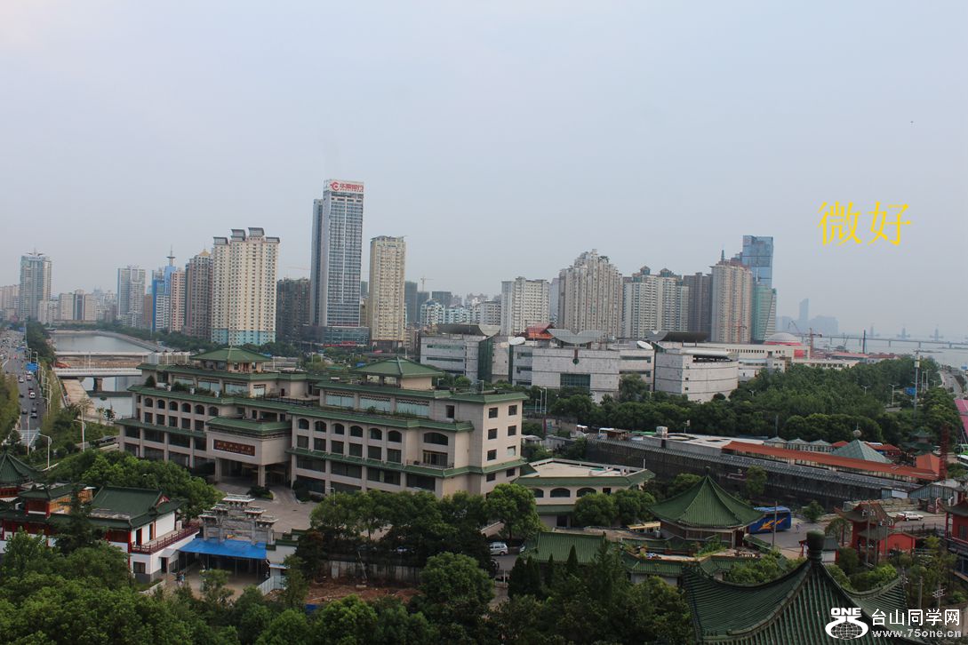 IMG_8463_.jpg