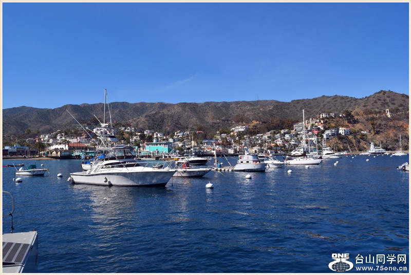 DSC_0916_.jpg