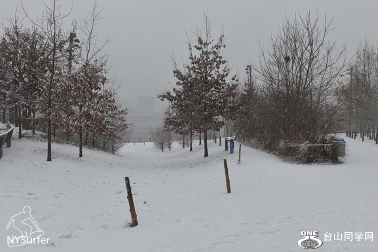DSC_31032.jpg