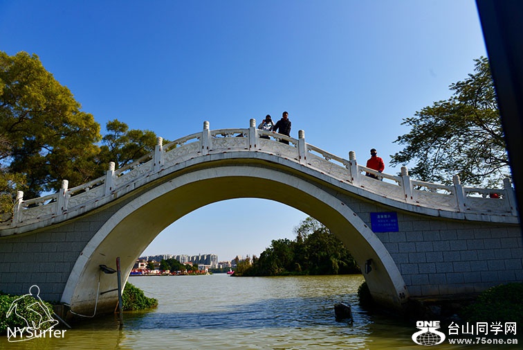 DSC_91846.jpg