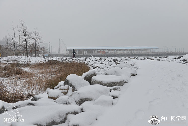 DSC_31020.jpg