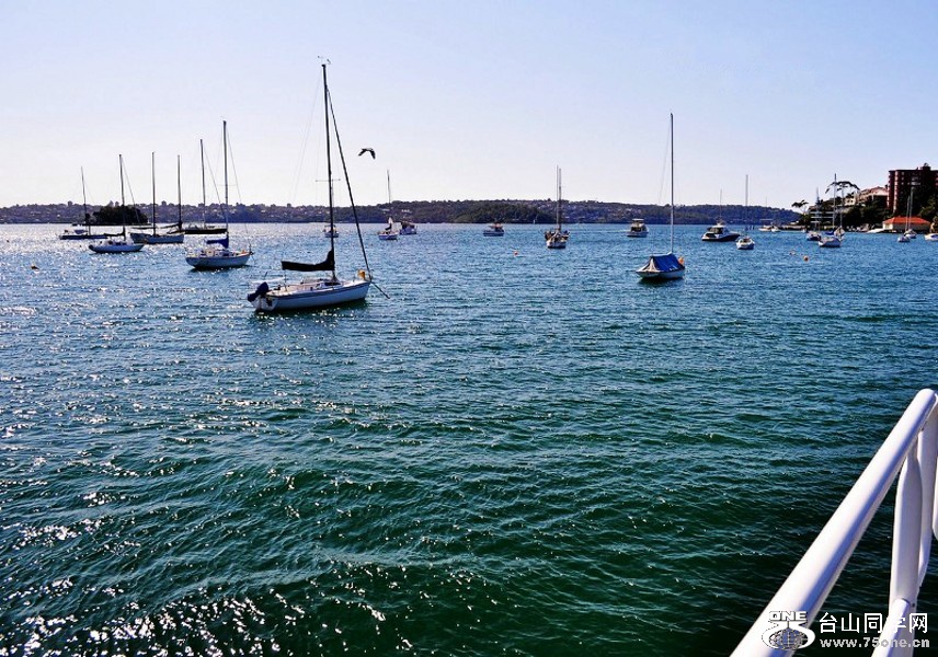 DSC_1493_conew1.jpg