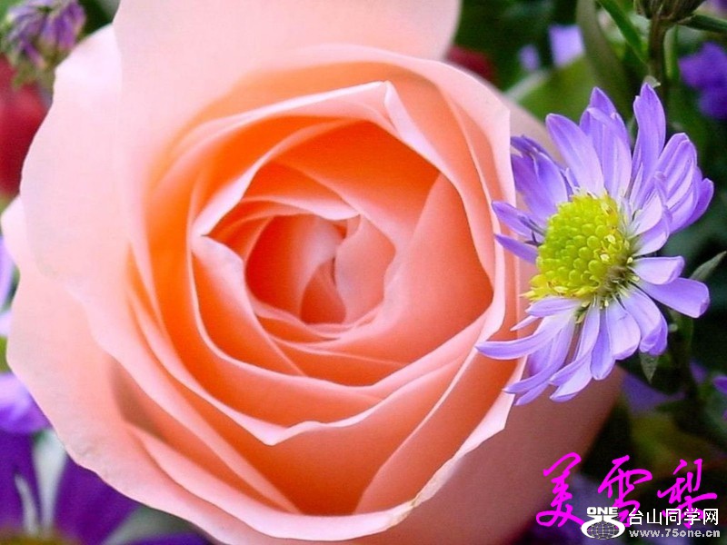 DSC_0339_conew1.jpg