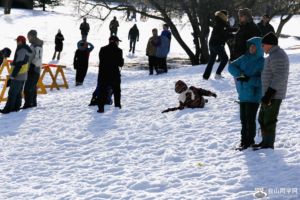 IMG_5517.JPG