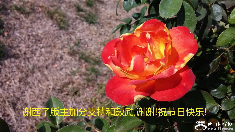 лӰӷֺ֧͹,лл!ףտ!.jpg