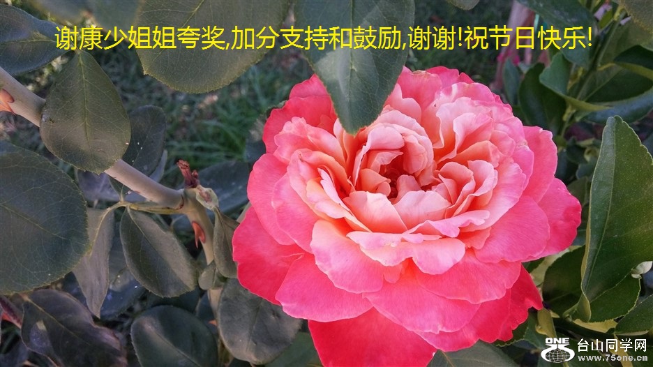 лٽ佱,ӷֺ֧͹,лл!ףտ!.jpg