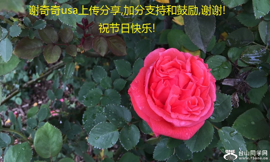 лusaϴ,ӷֺ֧͹,лл!ףտ!.jpg