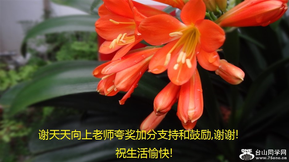 лʦ佱ӷֺ֧͹,лл!ף!.jpg