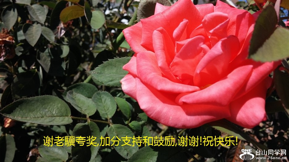 лK佱,ӷֺ֧͹,лл!ף!.jpg